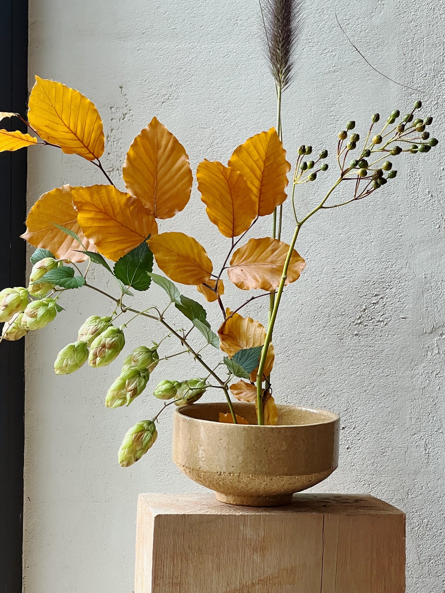 Чаван, special series