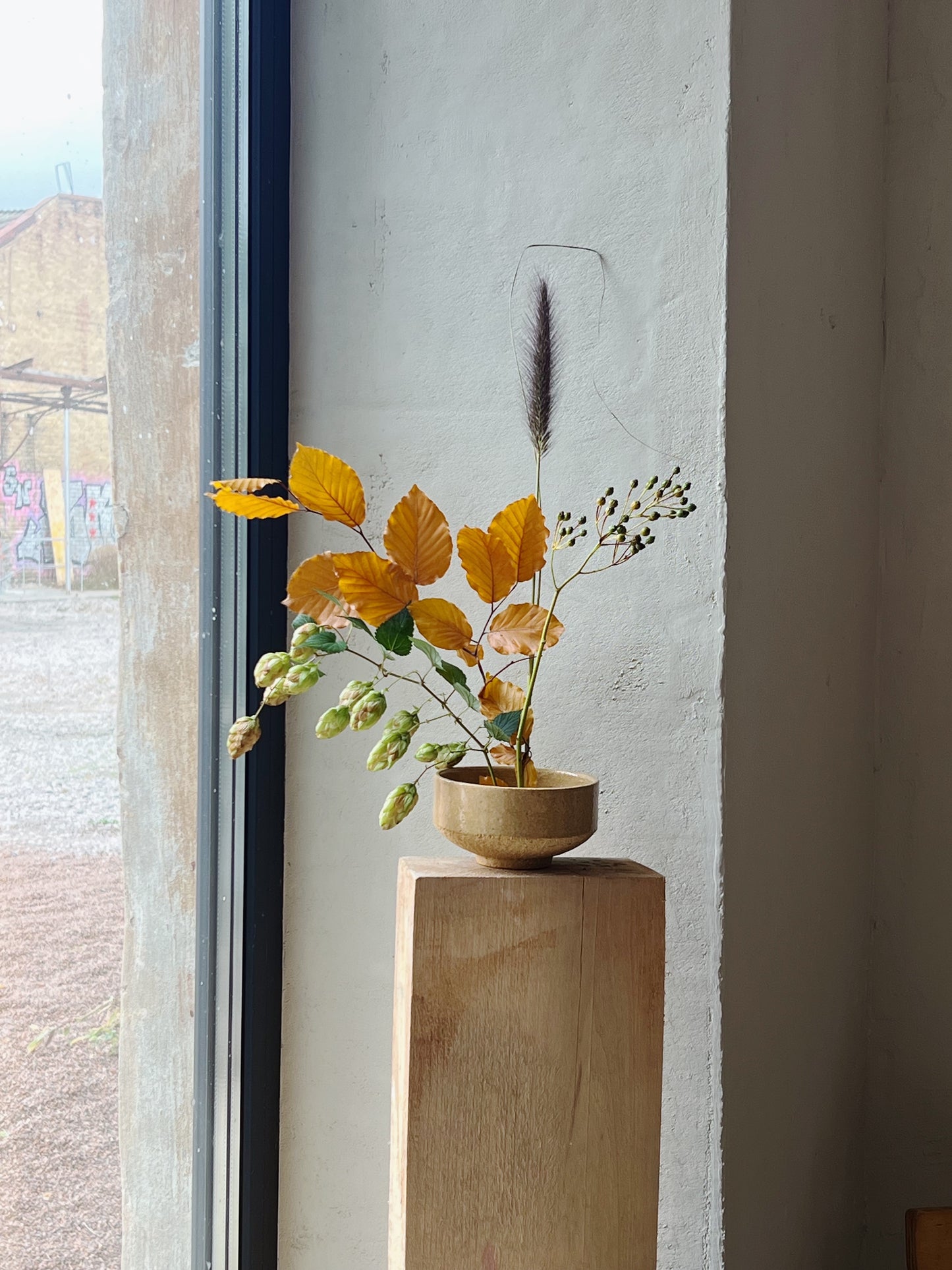 Чаван, special series