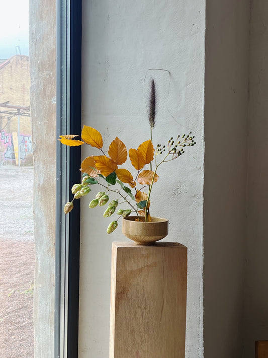 Чаван, special series