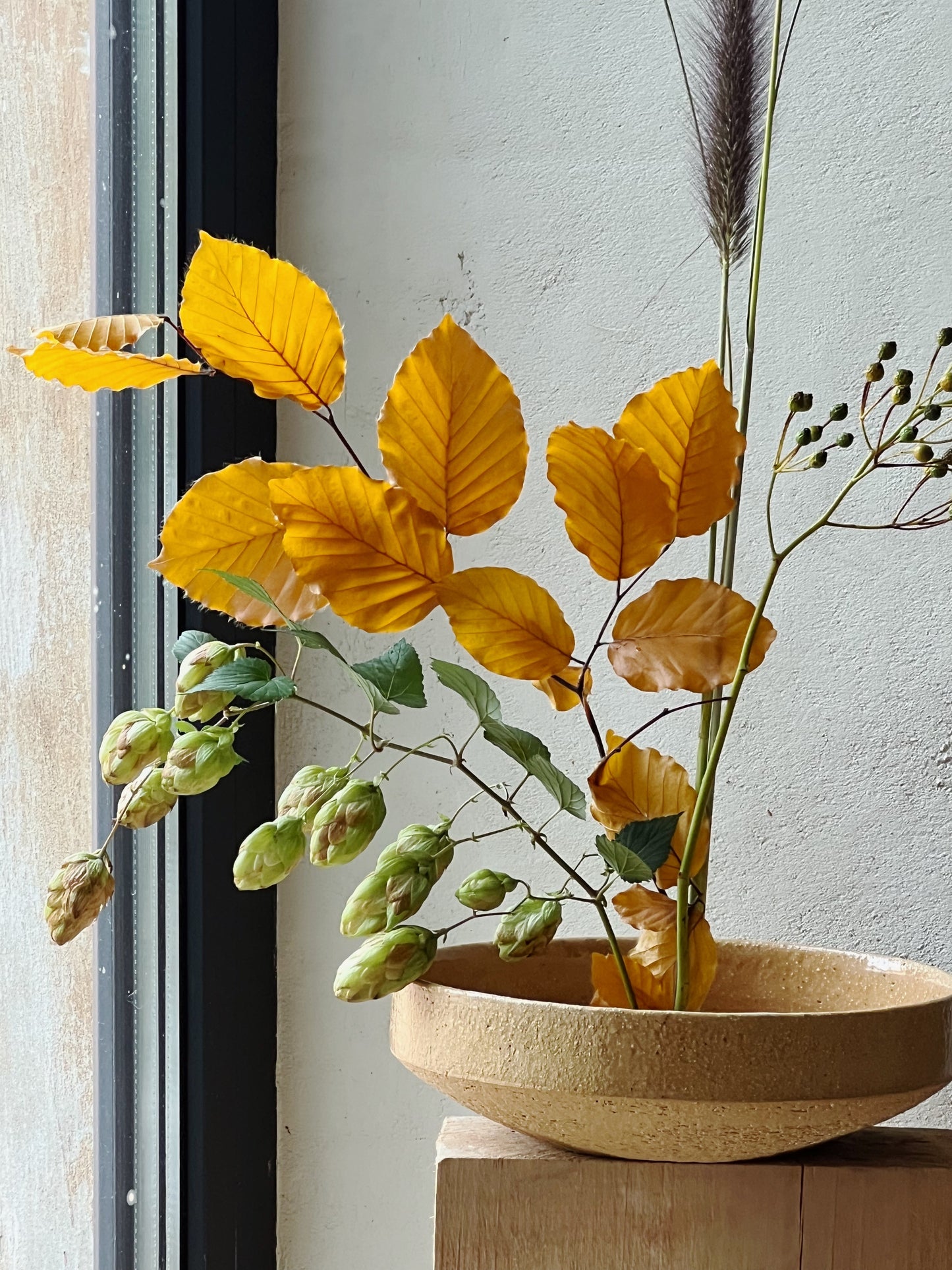 Сніданковий великий боул, special series