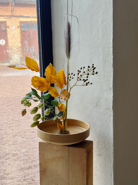 Сніданковий великий боул, special series