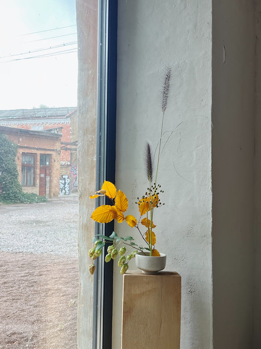 Маленький чаван з сатиновим склом, Aq Qaya